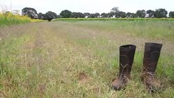 The boot Stock Footage