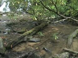 Lil waterfall 135 Stock Footage