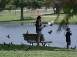 Family Throwing Breadcrumbs Into Lake Stock Footage
