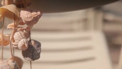 Sea Shell Garland Stock Footage