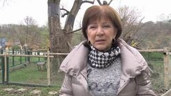 VOICED : Los pandas rojos gemelos de Bratislava News Clip