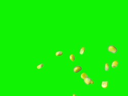 SLO MO Corn Kernels On Chroma Key Stock Footage