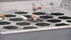 Anonymous People Stubbing Out Cigarettes on Bin News Clip