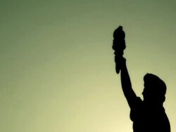 Lady Liberty Bird Stock Footage