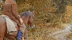 Herdsman riding his brown horse along a country road Stock Footage