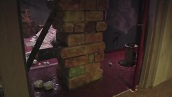 Nocturnal Animals Take Spotlight in New Orleans News Clip