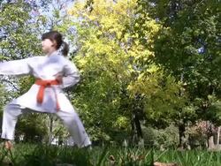 HD: Karate girl Stock Footage
