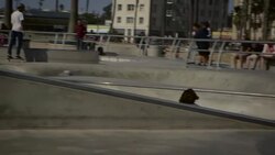 people skating at venice skatepark California Stock Footage
