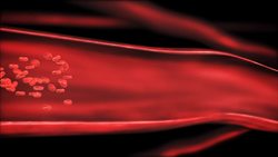 Blood Vessels Instructional Video