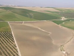 aerial view WS of the rolling hills of Andalusia Stock Footage
