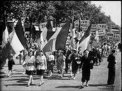 VIVE PARIS - News Clip