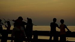 Silhouette: people feeding flock of Seagulls on a port at sunset Stock Footage