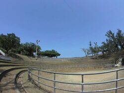 Bullring. Okinawa, Japan Stock Footage