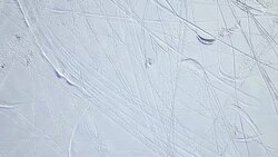 Frozen lake and ice fishing - aerial view Stock Footage