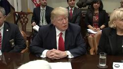 Trump: Travel Ban Could Reach Supreme Court News Clip