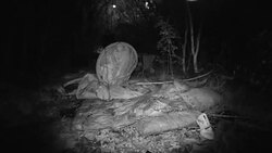 Number of Rough Sleepers in England Has Doubled in the Last Five Years News Clip