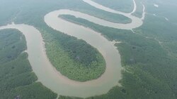 Aerial over s-shaped mangrove forest Stock Footage