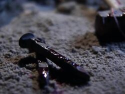 cross_scene_night_4 Stock Footage