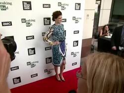 EVENT CAPSULE CLEAN - The Film Society Of Lincoln Center And AMC Celebration Of "Breaking Bad" Final Episodes Stock Footage