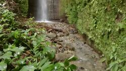 Rainforest waterfall Stock Footage