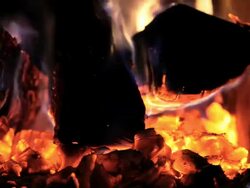 Fireplace Stock Footage