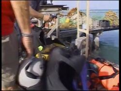 Interview with mother of missing US teenager News Clip