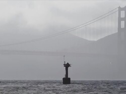 Group of four windsurfers, racing on San Francisco Bay turn around weather station near Crissy Field, Golden Gate Bridge in background Stock Footage