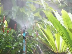 HD:Sprinkler. Stock Footage