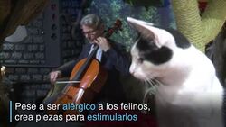 CLEAN : Un disco de musica clasica para gatos News Clip