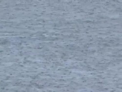 MS ZI Crocodile underwater during rainstorm / Kenya  Stock Footage