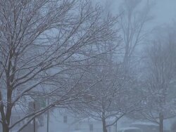 Snow Storm (HD) Stock Footage