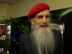 'The Tripper' Permiere arrivals Stock Footage