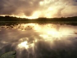 MS PAN Shot of Lake with Lilly Pads reflecting Sky at sunset / Vernonia, Oregon, United States Stock Footage
