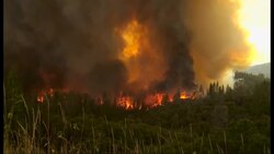 Disasters - USA - Hundreds of firefighters deployed to contain wildfire north of Yosemite National Park News Clip