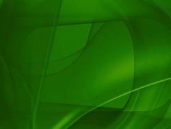 (Loop) Dynamic Geometrical Green Curves Stock Footage