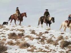 TS Cowboys and cowgirl on horseback riding slowly down a snowy ridge with a dog following along / Shell, Wyoming, United States Stock Footage
