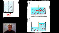 AP Biology Lab 1: Diffusion and Osmosis Instructional Video