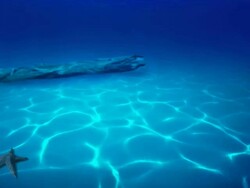 Ocean blue Seamless loop Stock Footage