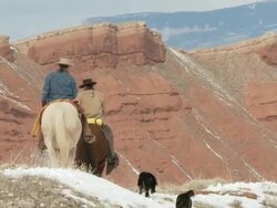 TS Cowgirl and cowboy on horseback riding atop snowy hill with dogs / Shell, Wyoming, United States Stock Footage