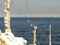 Winter day Stock Footage