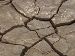  CU Wet cracks on arid desert / Mojave, California, USA Stock Footage
