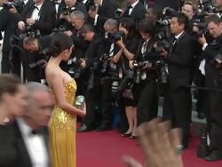 Yang Mi at De Rouille et D'os (Rust & Bone) Premie Stock Footage