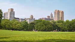 Central park, new york Stock Footage