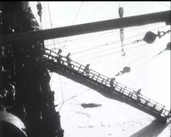 POLAR NEWS News Clip