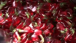 A metal scoop removes gummie cherries from a candy bin. Stock Footage