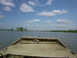 MS POV Airboat speeding on Atchafalaya Basin swamp / Atchafalaya Basin, Louisiana, United States Stock Footage