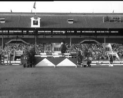 FIRECREST BURNS 'EM UP News Clip