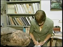 Prehistoric fossiled head prompts new thinking on crocodiles News Clip