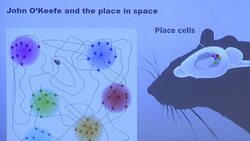 VOICED : Nobel por descubrir el GPS del cerebro News Clip