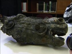 Gold-plated bronze Roman horse head discovered News Clip